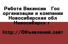 Работа Вакансии - Гос. организации и компании. Новосибирская обл.,Новосибирск г.